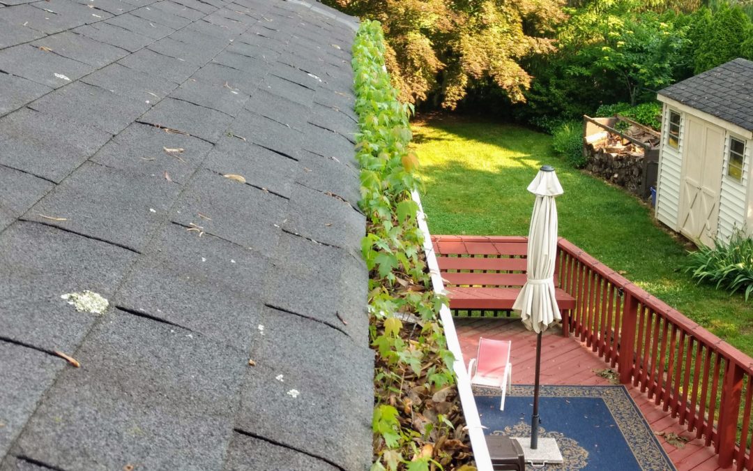 Getting Gutters Cleaned in Philadelphia, PA